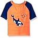 The Children's Place Baby Boys' Shark Rash Guard
