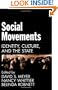 Social Movements: Identity, Culture, and the State