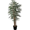 Phoenix Faux Palm Tree - Green (5')