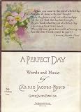 A Perfect Day