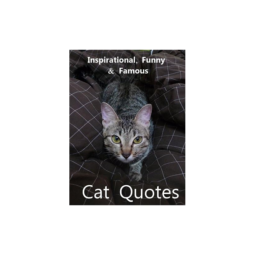 Inspirational Quotes About Cats. QuotesGram