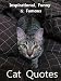 Inspirational, Famous & Funny Quotes About Cats