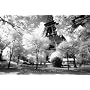 Afternoon in Paris (Eiffel Tower, B/W) Art Poster Print - 24" X 36"