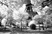 Afternoon in Paris (Eiffel Tower, B/W) Art Poster Print - 24 X 36