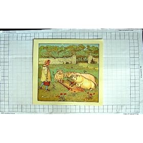 Colour Print Farm Scene Farmer Feeding Pigs Trough