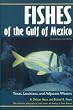 Fishes of the Gulf of Mexico: Texas, Louisiana, and Adjacent Waters, Second Edition (W. L. Moody Jr. Natural History Series)