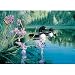 Iris Cove Jigsaw Puzzle 1000pc