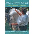What Horses Reveal: From First Meeting to Friend for Life