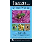 Insects of the North Woods by Jeff Hahn