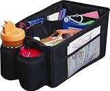 Sunshine Kids Cargo Pal