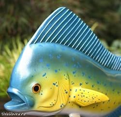 Taxidermy Quality 20" Fiberglass Mahi Mahi Wall Mount