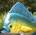 Taxidermy Quality 20" Fiberglass Mahi Mahi Wall Mount