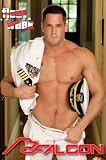 Gay Adult - Fleet Week - Falcon Studios