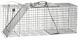 Havahart 1085 32-by-10-by-12-Inch Easy Set/Release One Door Cage Trap for Raccoons, Stray Cats and Woodchucks