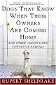 Dogs That Know When Their Owners Are Coming Home (Paperback)