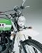 POSH:ポッシュ ステレスベーツライトステー KAWASAKI 250TR