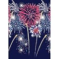 Fireworks Room Roll