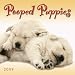 Pooped Puppies 2009 Calendar