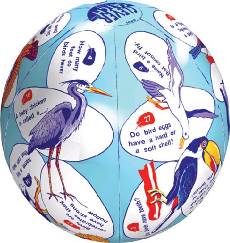 Clever Catch Balls: Birds