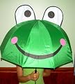 Childs Frog Umbrella