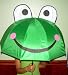 Baby : Childs Frog Umbrella