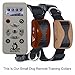 Bark Collar [2018 Smart Chip] Dog Shock Anti-Barking Collar with Beep, Vibration and Harmless Shock. No Bark Control for Small/Medium/Large Dogs with 7 Sensitivity Levels, Rechargeable and Rainproof