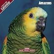 2009 Amazons Wall Calendar