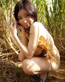 仲村みう写真集 『a will』 (タレント・映画写真集) 仲村みう写真集 『a will』 (タレント・映画写真集)