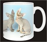 Review Advanta  / DEVON REX KITTENS Coffee Mug