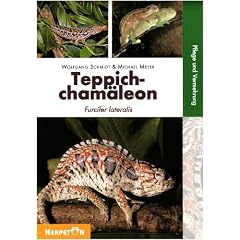 Teppichcham�leon: Furcifer lateralis