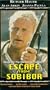 Escape From Sobibor [VHS]