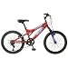 Pacific Evolution Boy's Mountain Bike (20-Inch Wheels)
