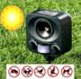 Repousse Nuisibles Solaire - Ultrasons - Chasse: rongeurs, chiens, chats, oiseaux...