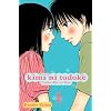 Kimi ni Todoke: From Me to You, Vol. 1