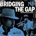 Bridging the Gap [12 VINYL]