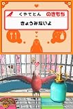 おしゃべりオウム 画像