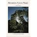 Hawaiian Forest Plants