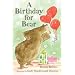 A Birthday for Bear: An Early Reader (Bear and Mouse)