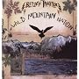 Wild Mountain Nation [VINYL]