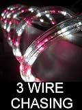 10Ft Rope Lights; 3wires pink and pure white chasing LED Rope Light Kit; Christmas Lighting; outdoor rope lighting