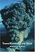 Yucca Mountain Dirty Bomb