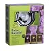 Toland Home Garden 248385 Garden Delights Solar Sundail