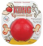 Kong Biscuit Ball