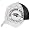 Baltimore Ravens