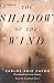 Books : The Shadow of the Wind (Unabridged)