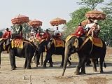 51yR8%2B8%2B1pL. SL160  Tourists Riding Elephants in Traditional Royal Style, Ayuthaya, Thailand, Southeast Asia Photographic Poster Print by Richard Nebesky, 16x12