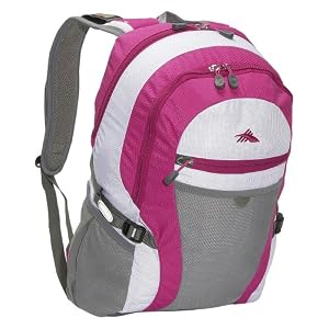 High Sierra Stretch Backpack