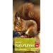 Der BLV Naturf�hrer f�r unterwegs