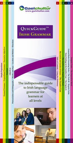 QuickGuide Irish Grammar: The Indispensable Guide to Irish Language Grammar for Learners at All Levels (English and Irish Edition)