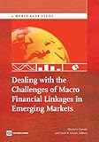 Dealing with the challenges of macro financial linkages in emerging markets